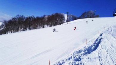 Photo of 头下脚上倒插树洞 中国男子毙命日本滑雪场