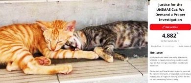 Photo of 砂大校园死猫事件 民众联署要求重新调查