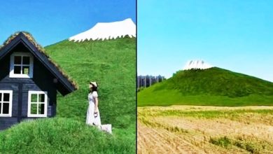 Photo of 河北”廊坊富士山” 爆红美照疯传 进场后踩雷：就是喷漆土堆