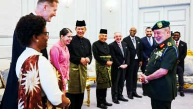 Photo of 国家元首接见 8外国使节递呈国书