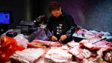 Photo of 中国对美国猪肉采购减少1.2万吨 比前一周减少72%