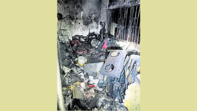 Photo of 新山花园1民宅失火 消拯员救出7只狗