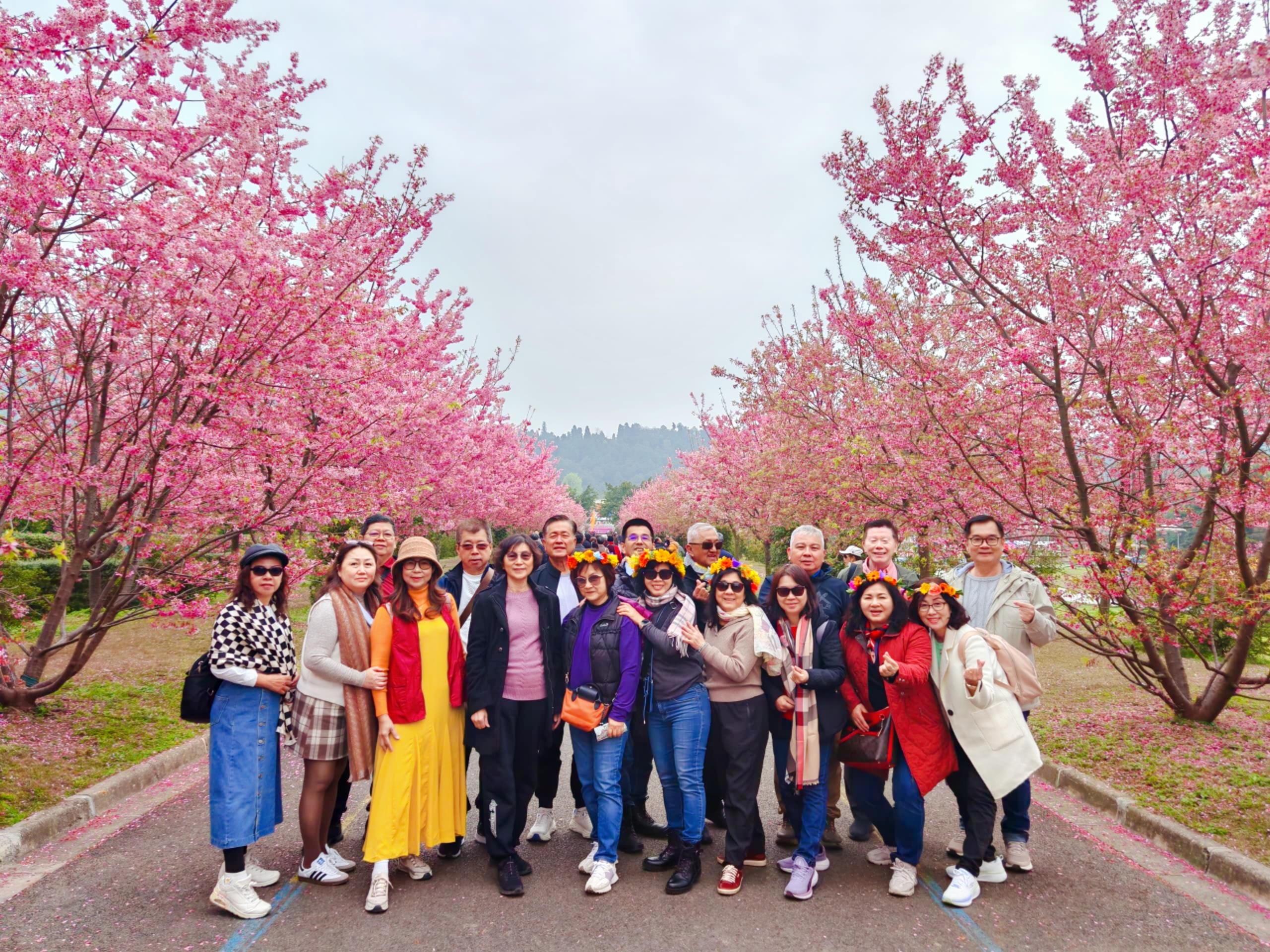 3月7日出发的团员在美丽的樱花花海中留影。