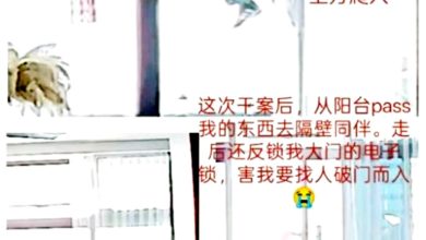 Photo of 不畏高楼只为财 蜘蛛贼爬40楼干案