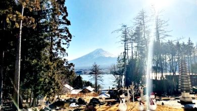 Photo of 为看富士山景砍伐邻居树木 日本警方拘捕中资酒店老板