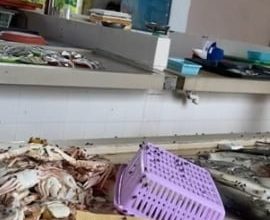 Photo of 仅她海鲜摊遭苍蝇围攻 小贩: 疑遭陷害!
