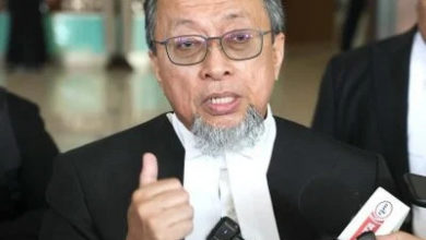 Photo of 州政府指摧毁非法芭榴梿树 未受到任何庭令约束