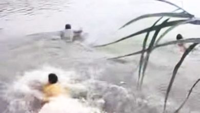 Photo of 视频〡布特拉高原气爆〡本地男与5巴国男 跳河冒险救人