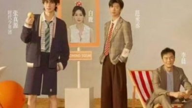 Photo of 白鹿被P成“遗照” 《奔跑吧》海报挨轰阴间审美