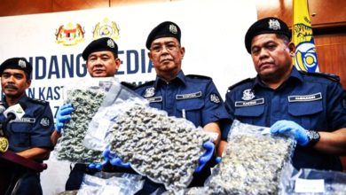 Photo of 虚报玩具书本快递出国 关税局起300万大麻花