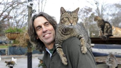 Photo of 纽约浪浪之家恶火 百余只猫葬身火海 创办人救猫罹难