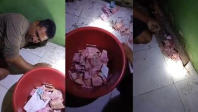Photo of 老鼠偷百万纸钞 竟藏这里!