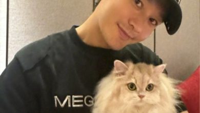 Photo of 黄晓明狂晒8块腹肌 网歪楼：为啥喜欢内裤外露？
