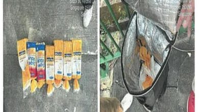 Photo of 18次非法喂鸟 六旬妇不悔改罚逾万