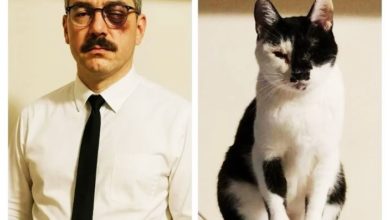 Photo of 猫咪“拟人化”AI照翻车？ 网民崩溃：主子变妖怪了！