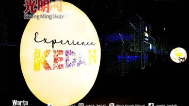 Photo of 东南亚最大灯光节 3公顷160万盏LED 月光仙境灯海绚丽