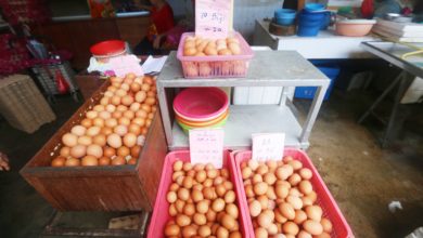 Photo of 斋戒月后饮食市场恢復 小鸡蛋跳楼价告终