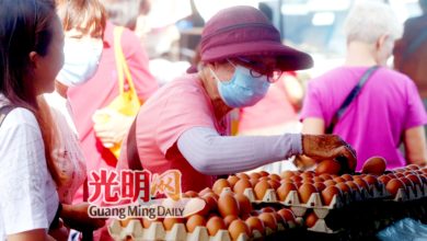 Photo of 蛋商：8月起没津贴 料不剧烈影响蛋价