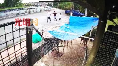 Photo of 熊孩子掷爆竹虐狗 饲主斥家长未阻止