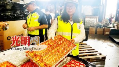 Photo of 非法储存电子废料 2厂被罚逾50万