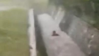 Photo of 拍男童坠沟视频遭骂不救人 姐姐: 弟弟不会游泳
