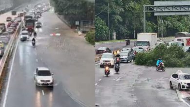 Photo of 下午持续暴雨 古晋路树倒交通堵塞