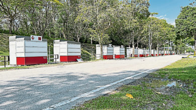 Photo of 森大臣:若反应冷淡 MyKiosk应迁移别处