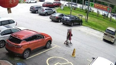 Photo of 过马路突遭掠夺 华妇惊喊也没用