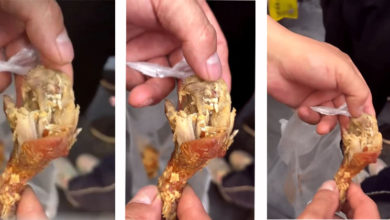 Photo of 买鸡腿惊见大量蛆虫  店家强调:现做食品不会出现这种 …