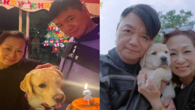 Photo of 太太病况危急 艾威吁热心人捐肝救妻