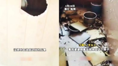Photo of 压力锅煮粽  炸穿天花板 厨房如战场