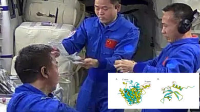 Photo of 中国太空站发现新物种 命名“天宫尼尔菌”