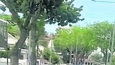 Photo of 遇假警攫夺 持水瓶反击 老妇奋勇退匪