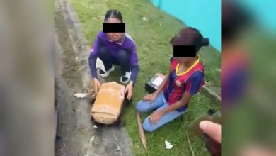 Photo of 爽拆人家包裹不认 2女被逮下跪