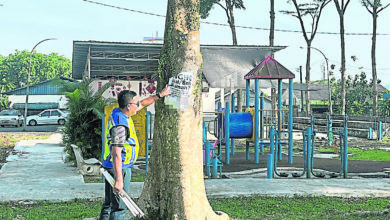 Photo of 古来市会销毁91幅 非法街招见1张拆1张
