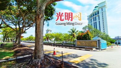 Photo of 【威省市厅月常会议】树干周长逾0.8米须申请 违法砍树控上庭