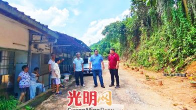 Photo of 斜坡削90度 树根外露 山边住宅居民忧土崩