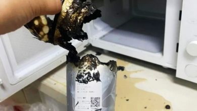 Photo of 奶茶放微波炉加热30秒著火 茶饮公司客服：换个容器才加热