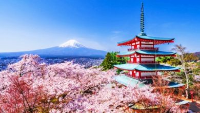 Photo of 日本或取消“免税制度”未来恐只有日本特产可退税