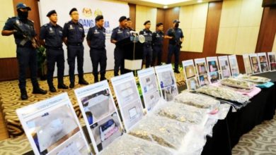 Photo of 价值140万毒品伪装成枕头 彭关税局破获走私活动
