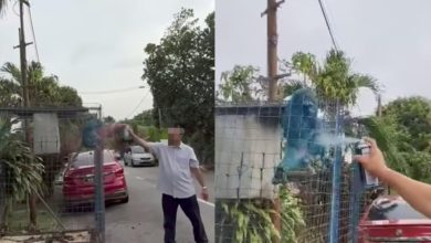 Photo of 困笼猴遭喷蓝漆 网民: 老人变坏了!