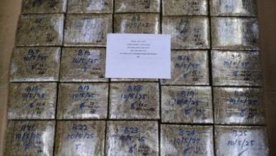 Photo of 警北赖截查一车 起51kg大麻捕2男