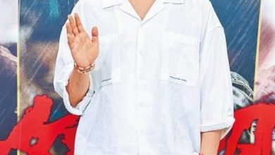 Photo of 找警偷查闪兵集团个资 王大陆被起诉