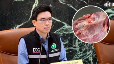 Photo of 泰首5月310病例 13人感染猪链球菌身亡