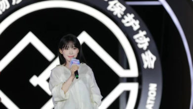 Photo of 网红李子柒任非遗推广大使 吁青年弘传统文化