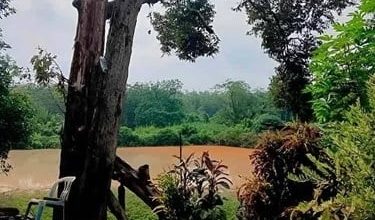 Photo of 雨中关车门遭雷劈 男子惊险存活：像被炸弹炸飞！