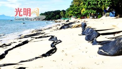 Photo of 峇都丁宜至丹绒武雅沿海防护 料2027年动工