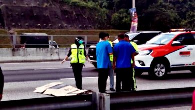Photo of 女子弃尸大道〡目击者: 客货车高速行驶中推下车 警方证实非林芫