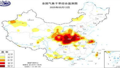 Photo of 中国多地旱情严峻 当局开展抗旱保农工作