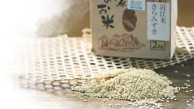Photo of 【好吃好玩】钻研抗暑病新米种 万里挑一きらみずき